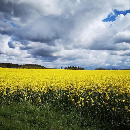 Fh Salzhaff Urlaub *