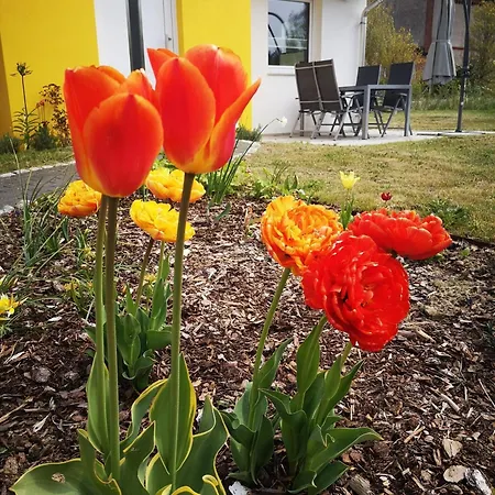 Holiday home Familienfreundliches, Ruhiges *